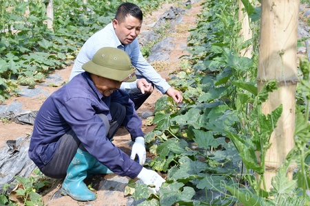 Overcoming shortage of water for production in Nậm Kè