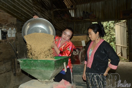 Party Cell Secretaries with “3 dares” spirit in Điện Biên