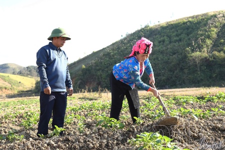 Converting rice land to adapt to climate change