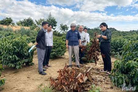 Farming smarter: Cutting chemical use for sustainable agriculture