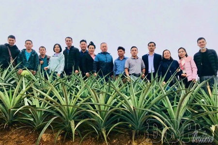 Youths in remote villages establishing cooperatives