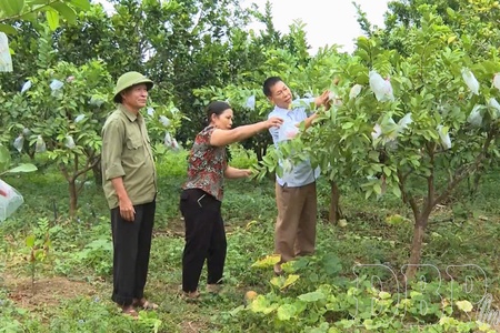 Farmers join forces to build new-style rural areas