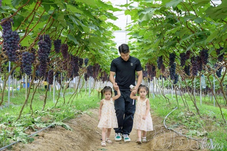 Attracting investment, creating breakthroughs for agricultural development