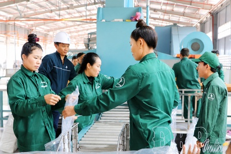 Investment boom fuels job growth across Điện Biên