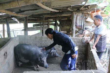 Ensuring safe and sustainable livestock production