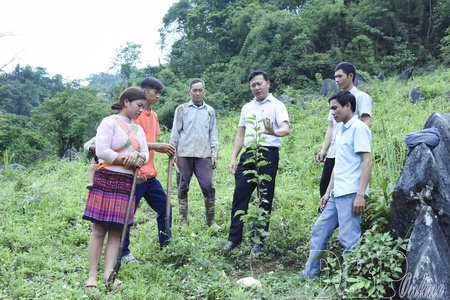 Crop diversification opens new economic opportunities in ethnic minority areas