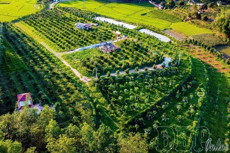 Unblocking policy mechanisms, driving agricultural development