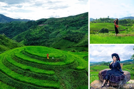 Green season on terraced fields