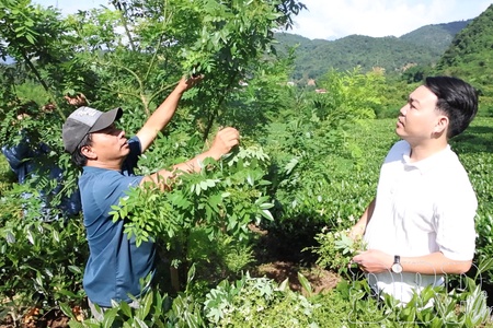 Promoting value of Điện Biên agricultural products