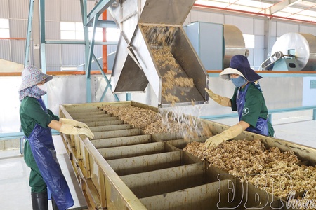 Boosting modern agricultural development