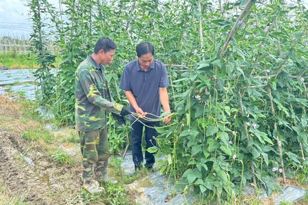 “Awakening” agricultural potential in Điện Biên