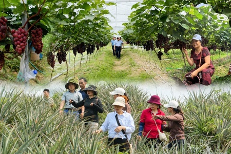 Điện Biên paves way for “green tourism” development