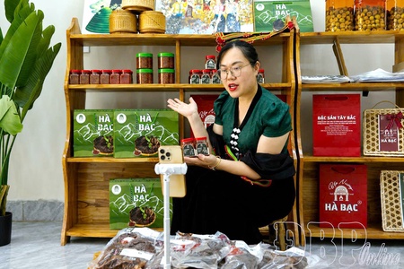 From terrace fields to digital stalls