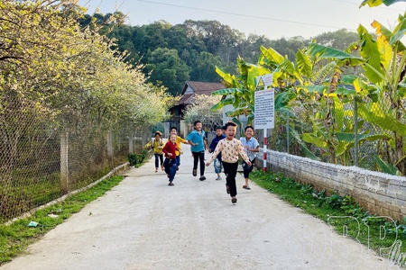 Promoting the “central” role in new rural area building
