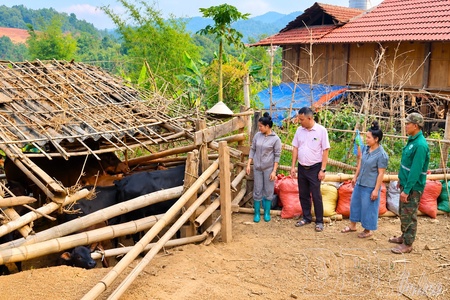 Policy credit - A foothold for impoverished women to rise up