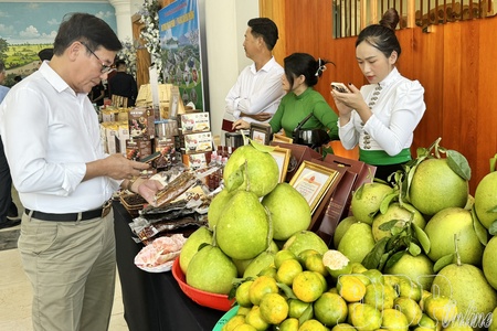 Promoting development of e-commerce