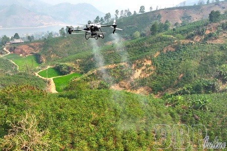 Opening new directions for Điện Biên’s agriculture