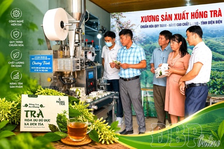 Industrial promotion - A “launchpad” for Điện Biên agricultural products
