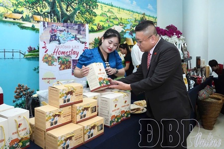 Điện Biên OCOP products go green with eco-friendly packaging