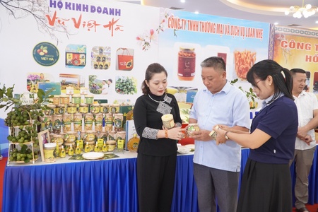 Điện Biên’s coffee and macadamia shift from planting to processing