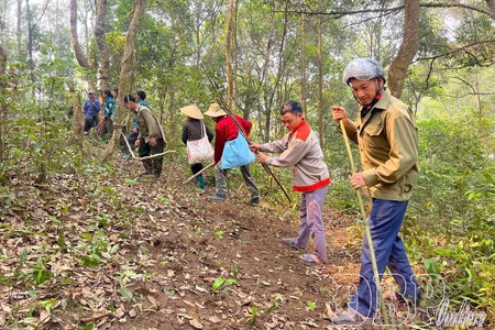Điện Biên active in protecting forests in dry season