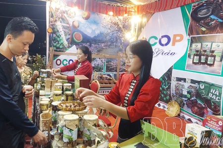 Making Điện Biên’s OCOP products more competitive