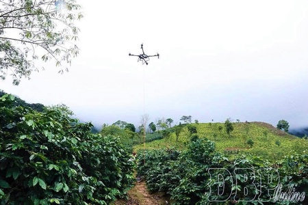 UAVs boost agricultural production in Điện Biên