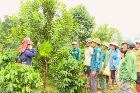 Turning national programs into tangible gains for farmers