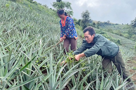 Na Sang reduces poverty relying on potential and internal resources