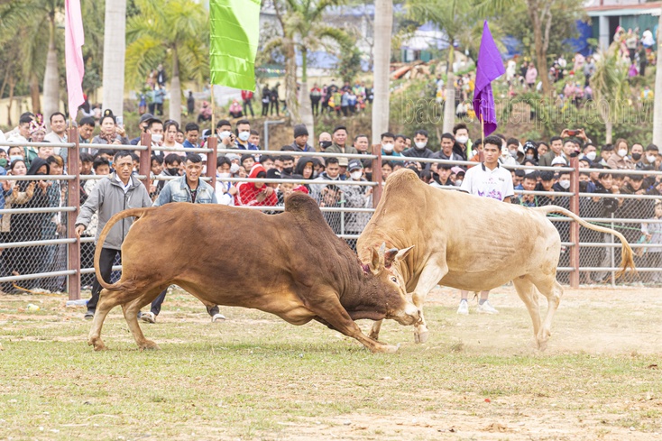 The vibrant Điện Biên Đông Spring Festival