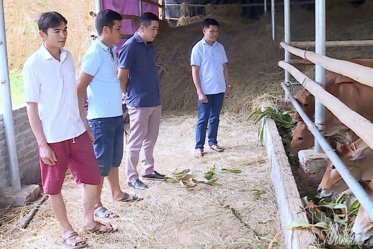 Celebrating Tết in joy of escaping poverty