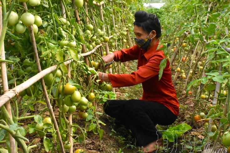 Mobilizing deposits to empower social policy credit