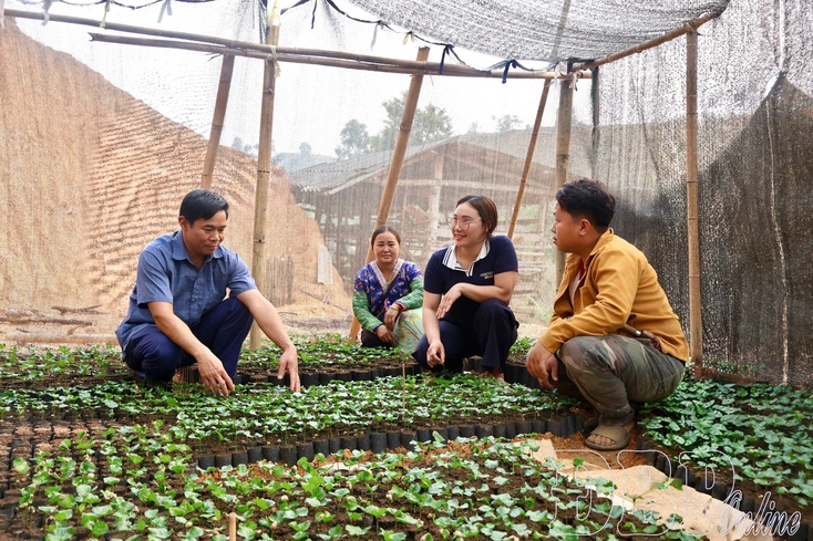 Promoting “three dares” spirit in studying and following President Hồ Chí Minh