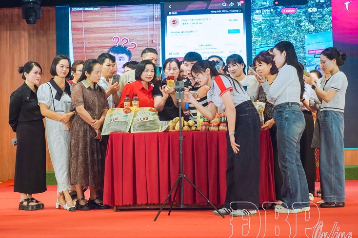 Helping businesses and households quickly access digital environement