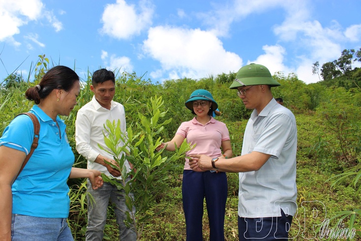 Transforming local governance through people-centered leadership
