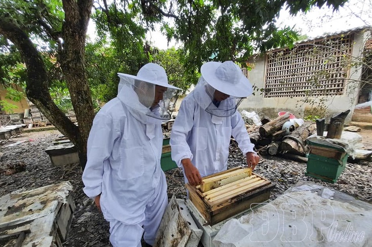 Turning “green gold” into sustainable livelihoods