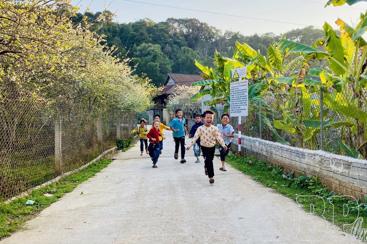 Promoting the “central” role in new rural area building