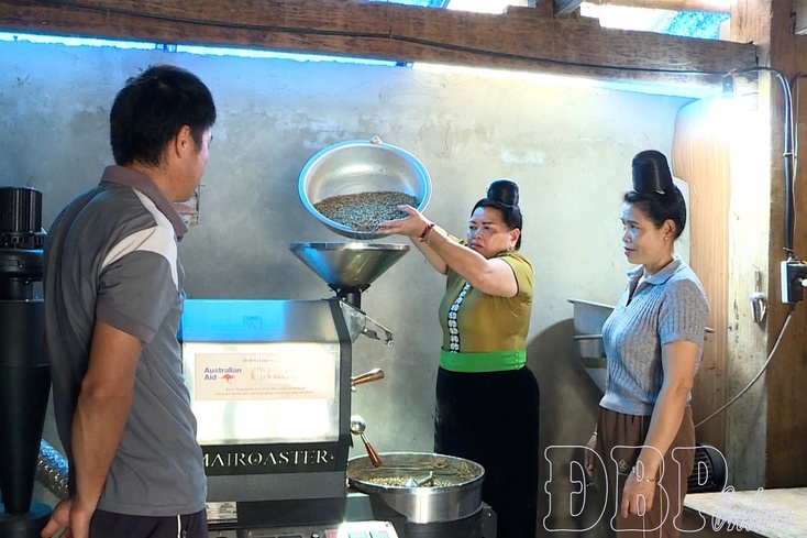 From commodity production to deep processing: Raising value of Điện Biên’s agriculture