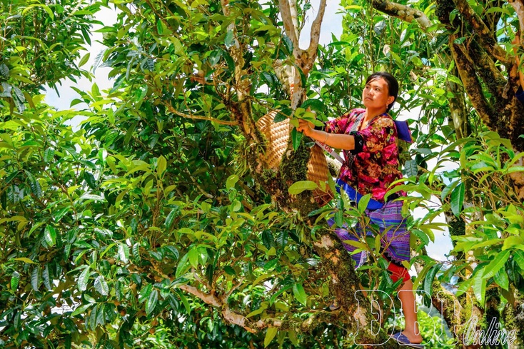 Letting local specialties tell story of the land
