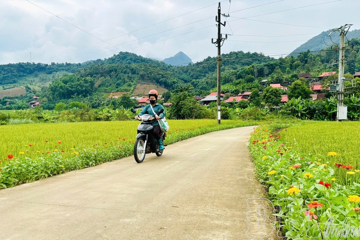 Building new-style rural areas in the new era