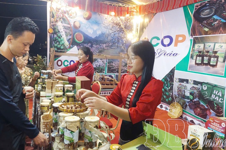 Making Điện Biên’s OCOP products more competitive