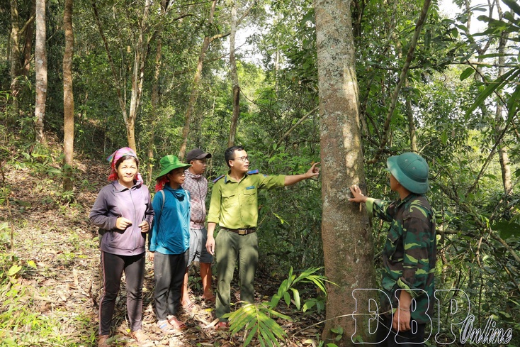 Guarding Điện Biên’s forests and biodiversity