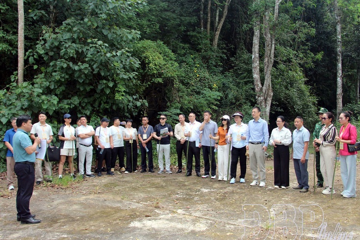 Developing tourism as a driver of growth