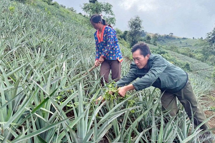 Na Sang reduces poverty relying on potential and internal resources