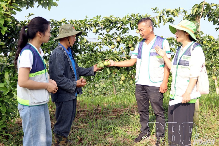 Prioritizing resources to implement agricultural extension models